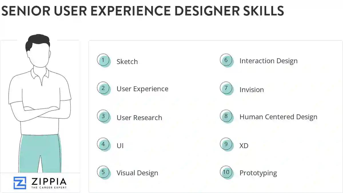 Senior user experience designer skills