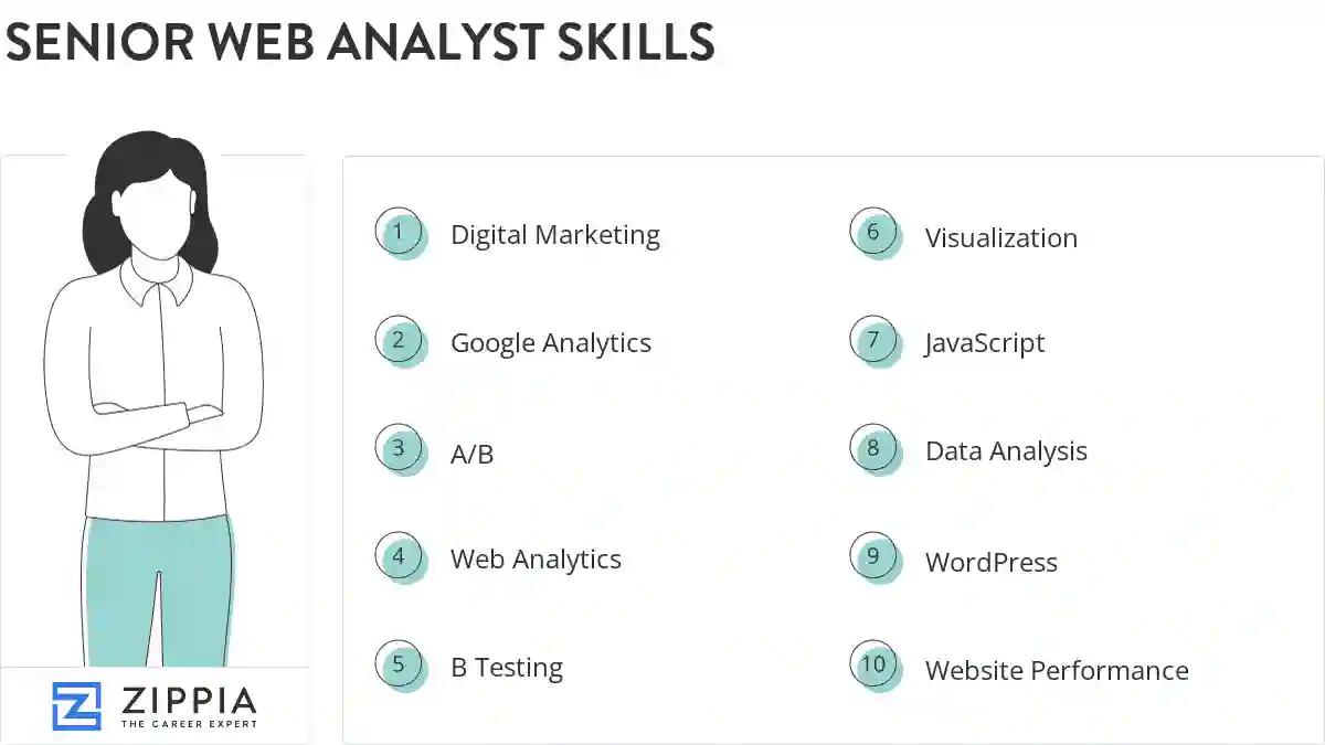 Senior web analyst skills