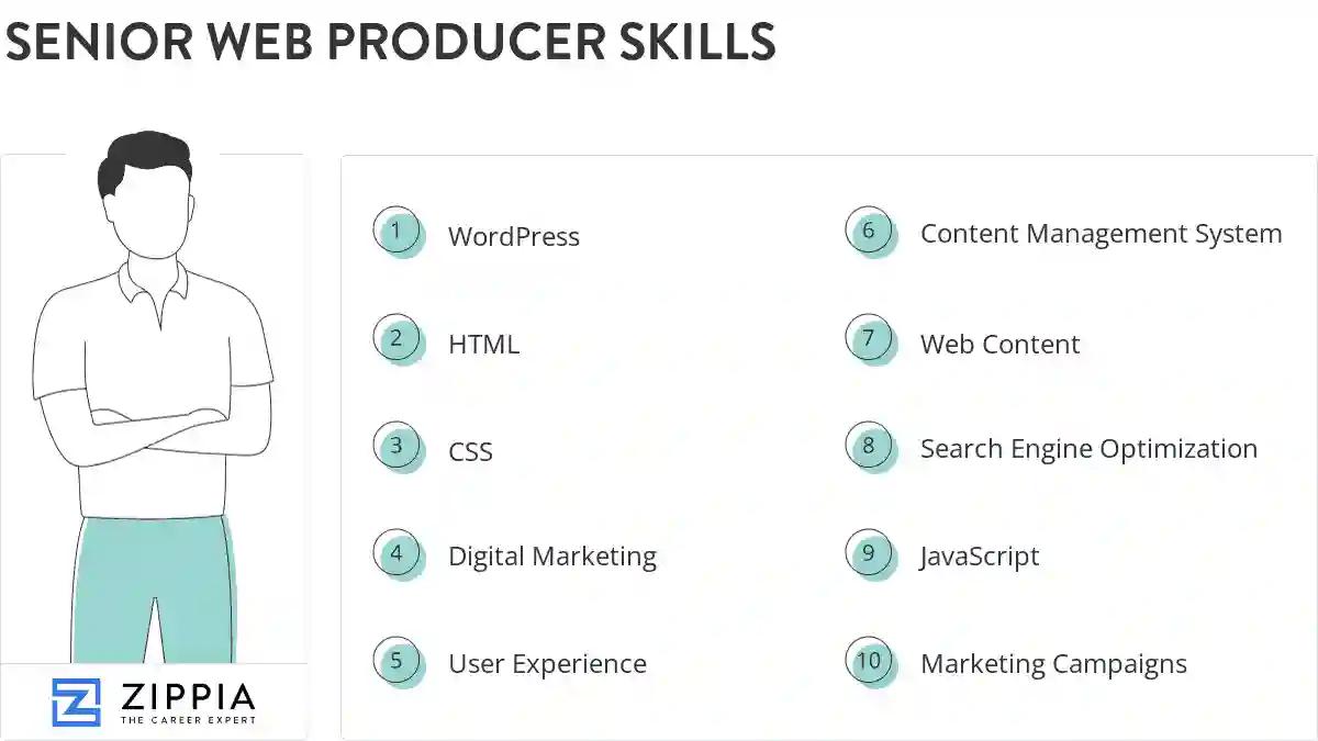 Senior web producer skills