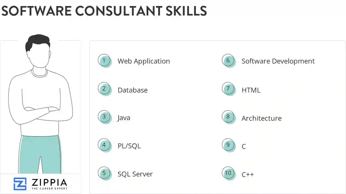 Software consultant skills