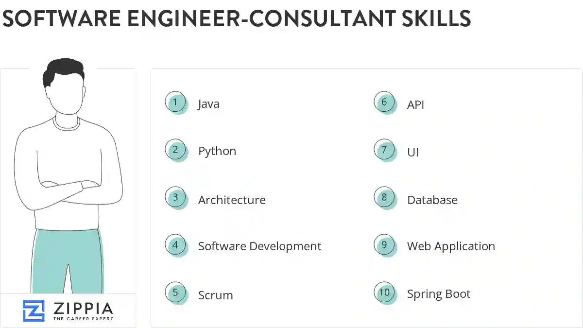 Software engineer-consultant skills