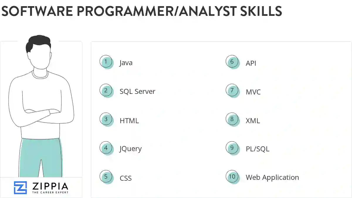 Software programmer/analyst skills