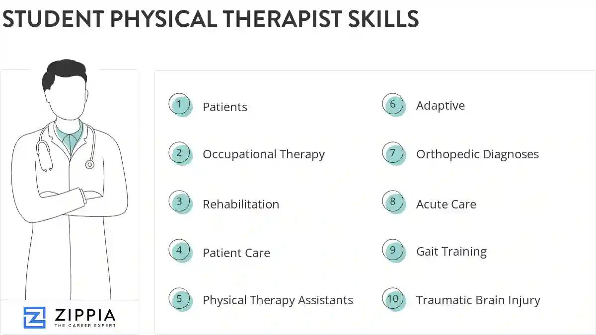 Student physical therapist skills