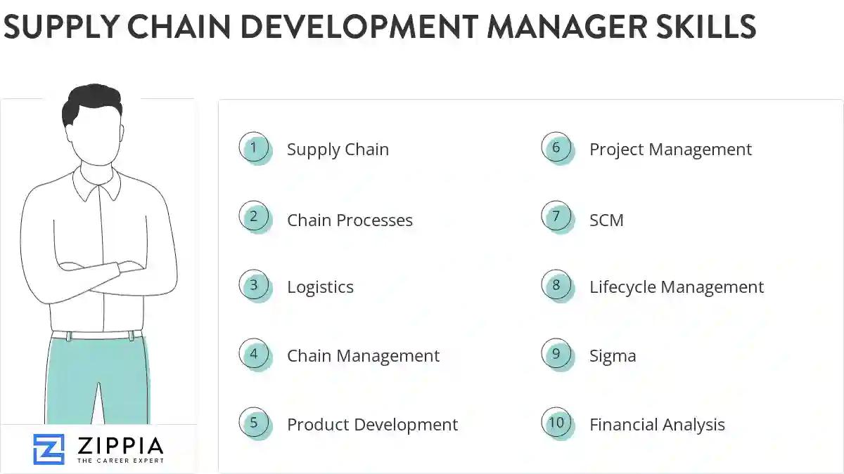 Supply chain development manager skills