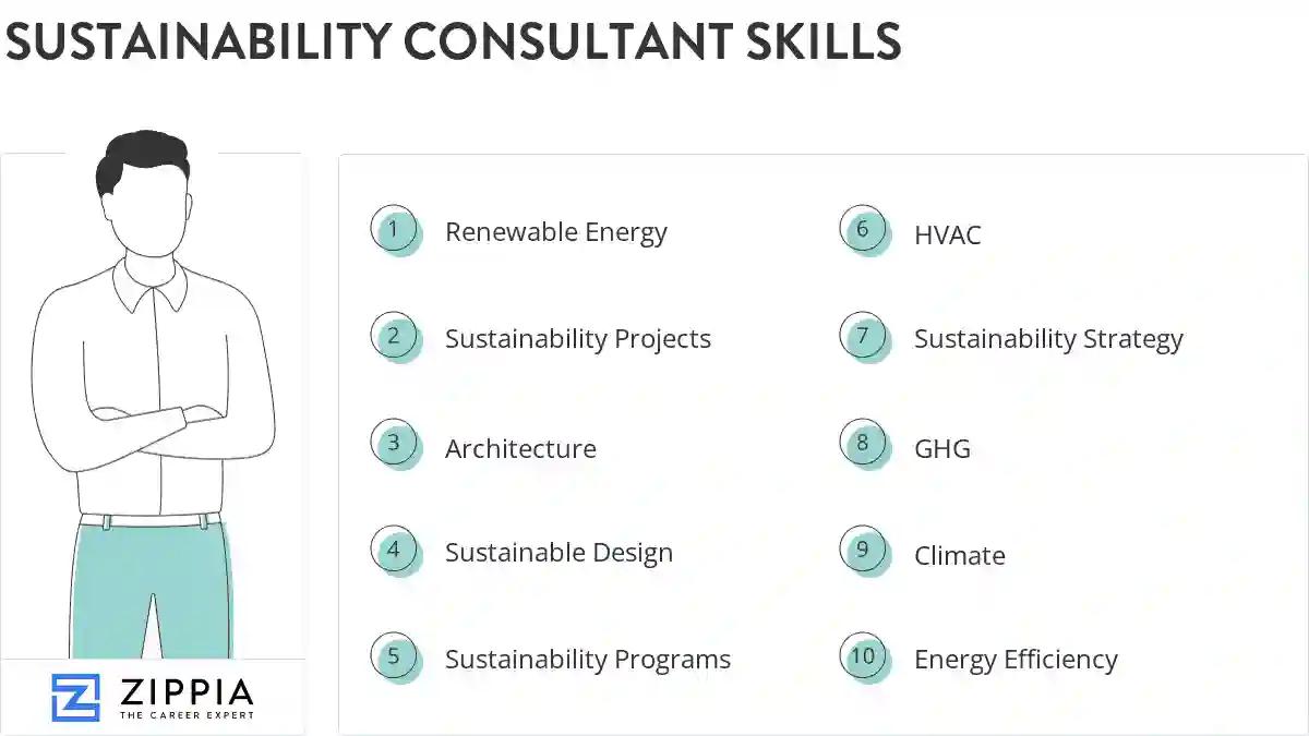 Sustainability consultant skills