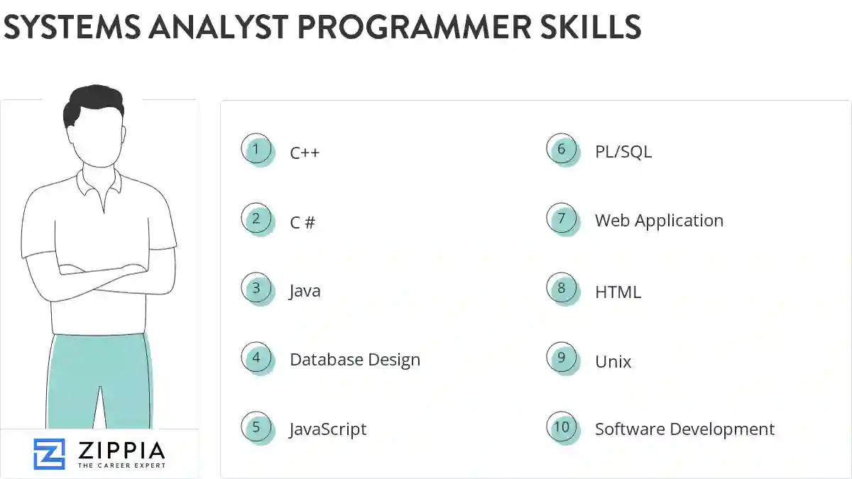 Systems analyst programmer skills