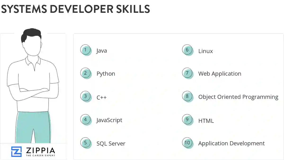 Systems developer skills