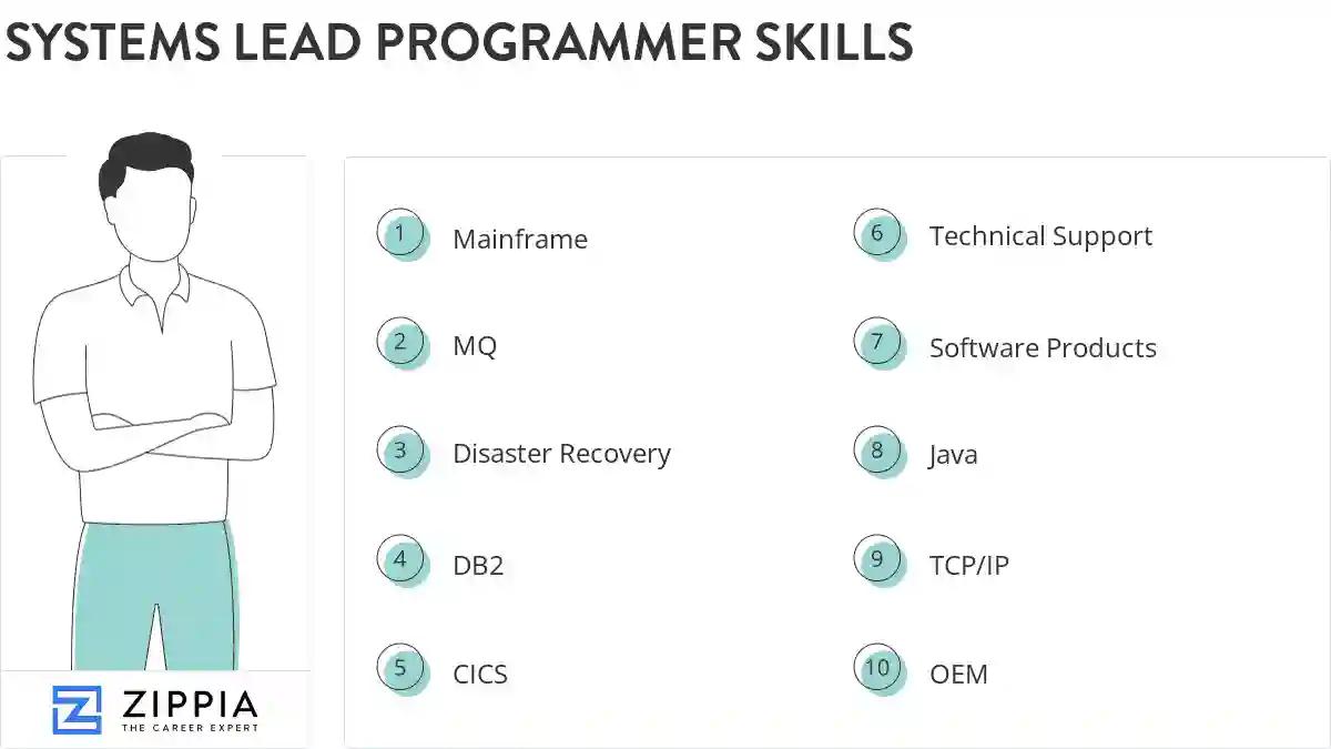 Systems lead programmer skills
