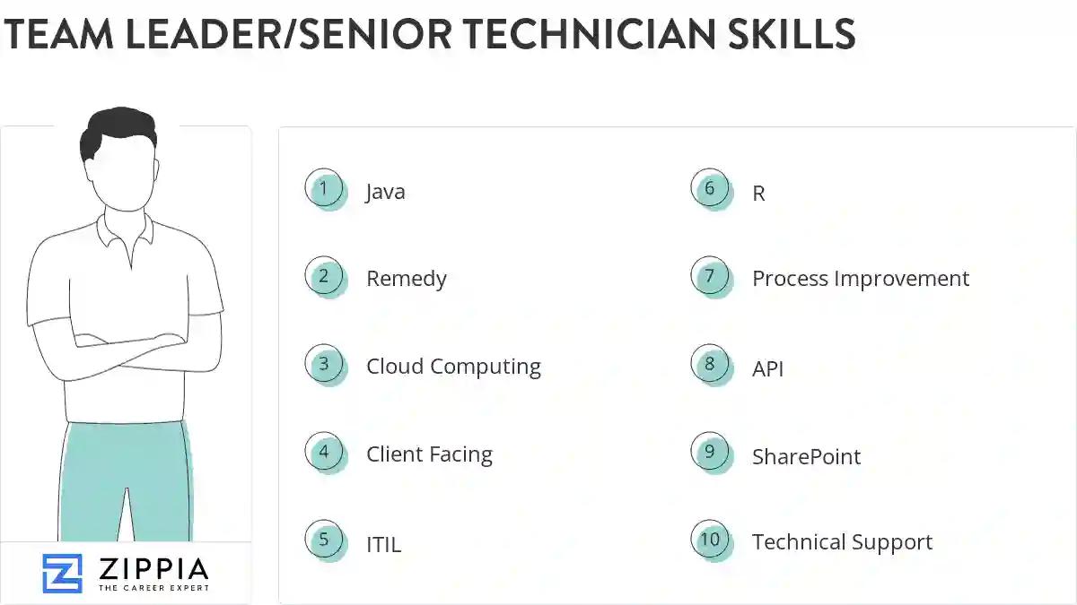Team leader/senior technician skills