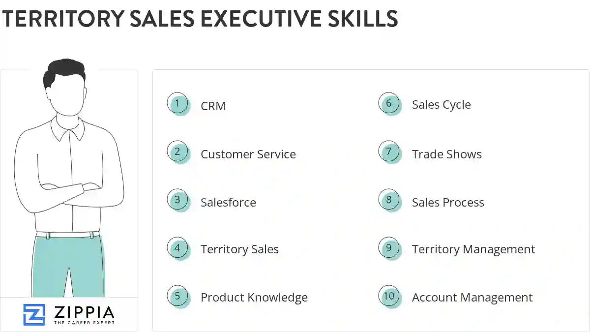 Territory sales executive skills