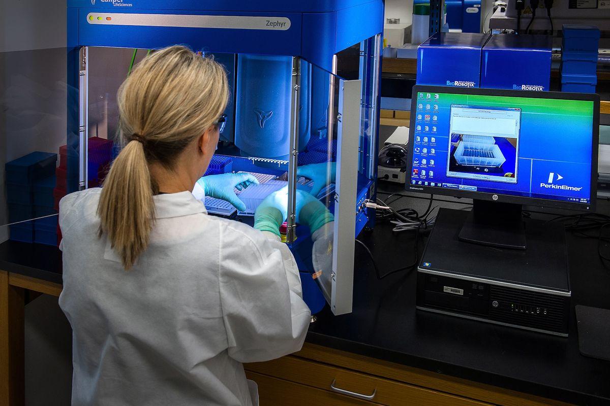 What does a clinical laboratory scientist do