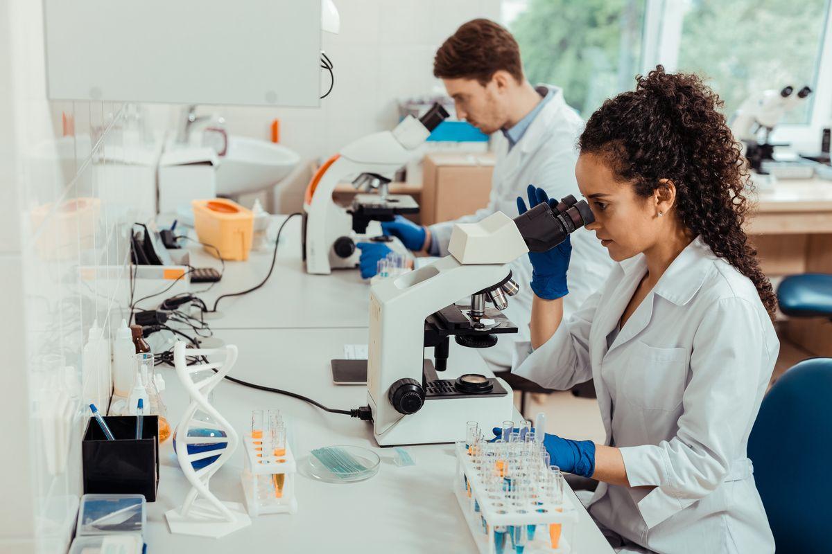 What does a research scientist do