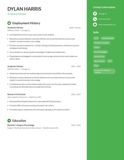 Academic Mentor Resume
