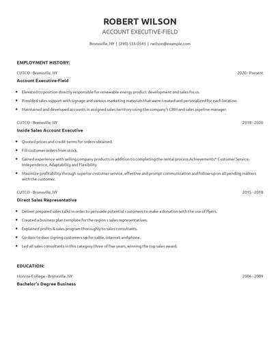 Account Executive-Field Resume