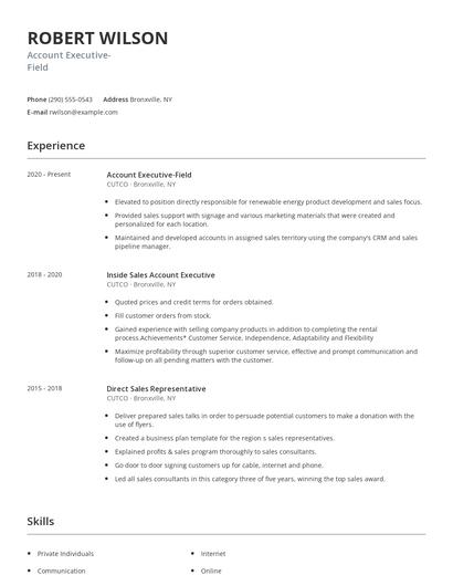 Account Executive-Field Resume