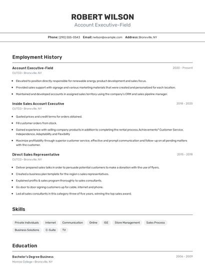 Account Executive-Field Resume