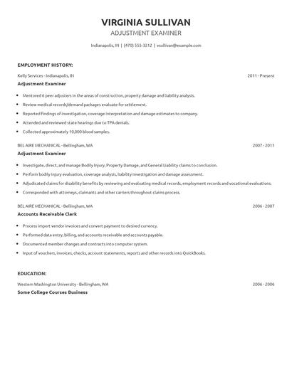 Adjustment Examiner Resume
