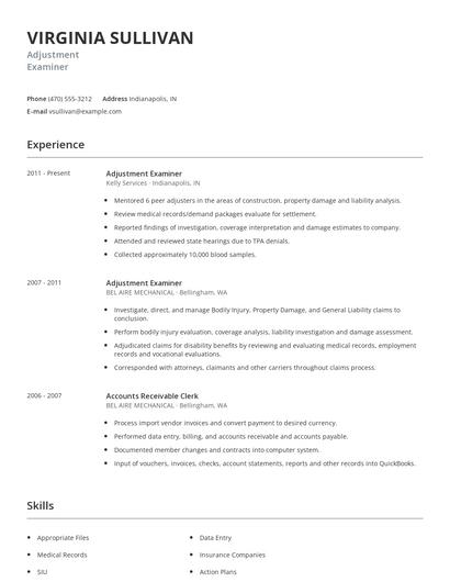 Adjustment Examiner Resume