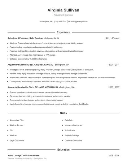 Adjustment Examiner Resume