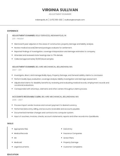 Adjustment Examiner Resume