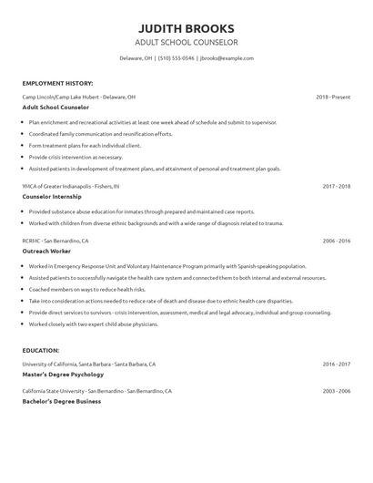 Adult School Counselor Resume