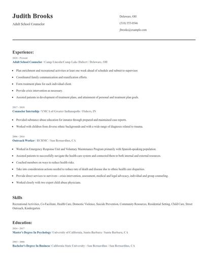Adult School Counselor Resume