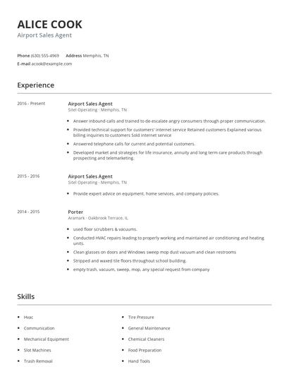 Airport Sales Agent Resume