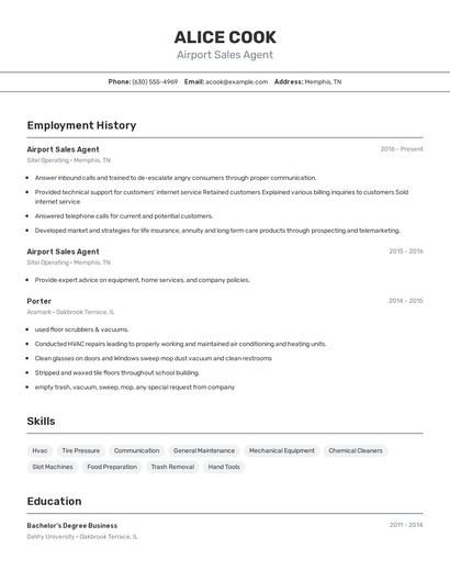 Airport Sales Agent Resume