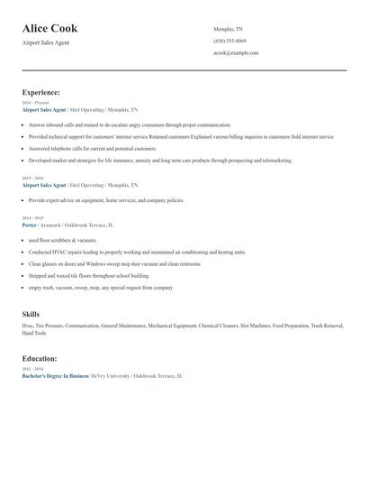 Airport Sales Agent Resume