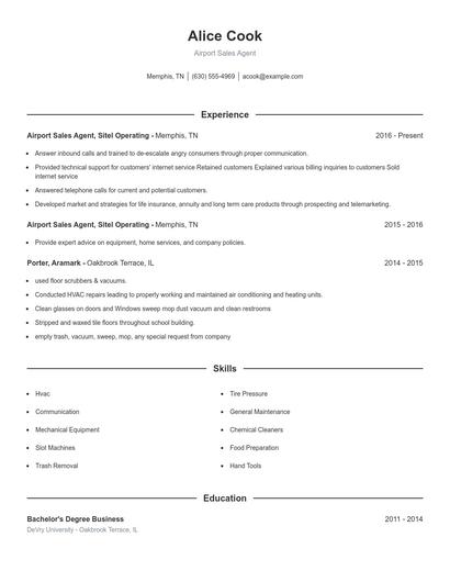 Airport Sales Agent Resume