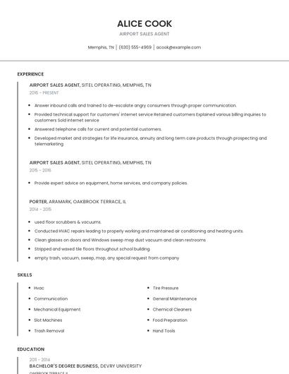 Airport Sales Agent Resume