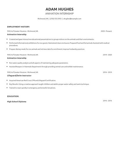 Animation Internship Resume