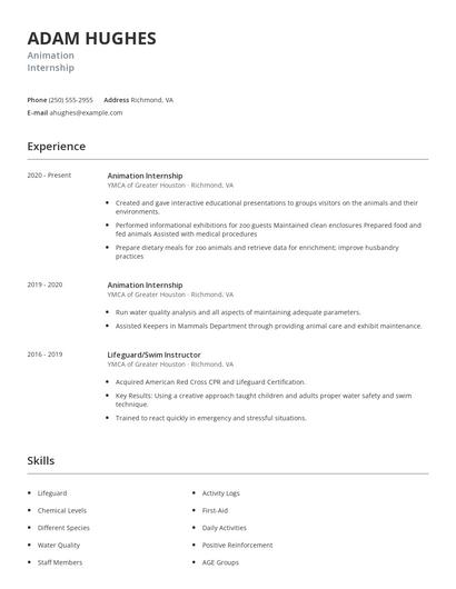 Animation Internship Resume