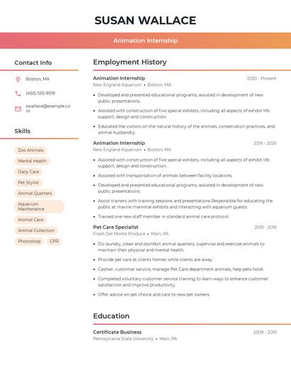 Animation Internship Resume