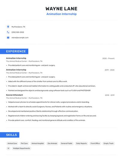 Animation Internship Resume