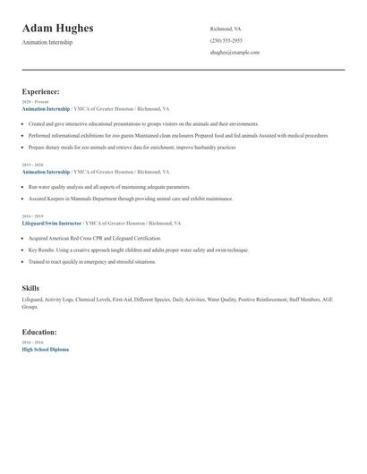 Animation Internship Resume