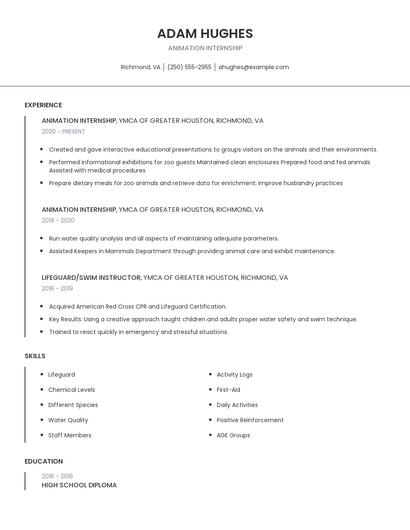 Animation Internship Resume