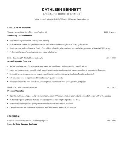 Annealing Torch Operator Resume