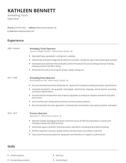 Annealing Torch Operator Resume