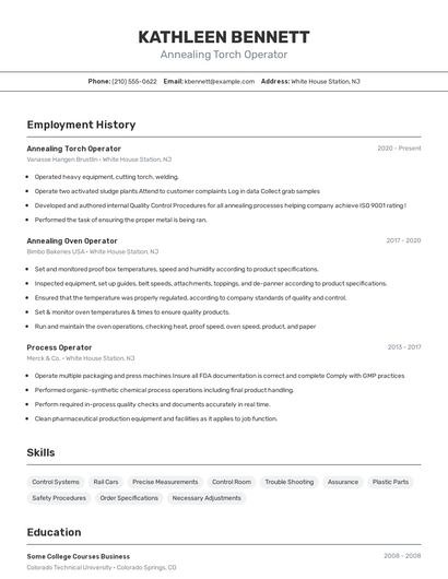 Annealing Torch Operator Resume