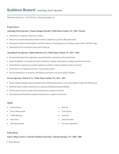 Annealing Torch Operator Resume