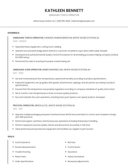 Annealing Torch Operator Resume