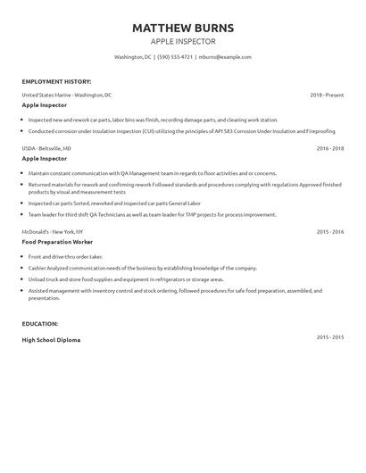 Apple Inspector Resume