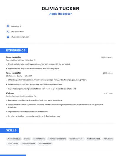 Apple Inspector Resume