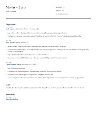Apple Inspector Resume