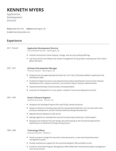 Application Development Director Resume