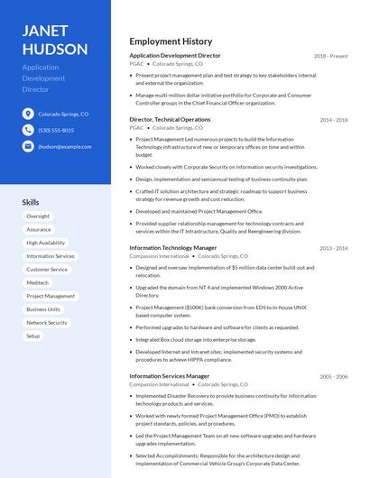 Application Development Director Resume