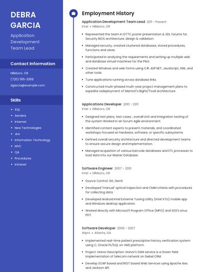 Application Development Team Lead Resume