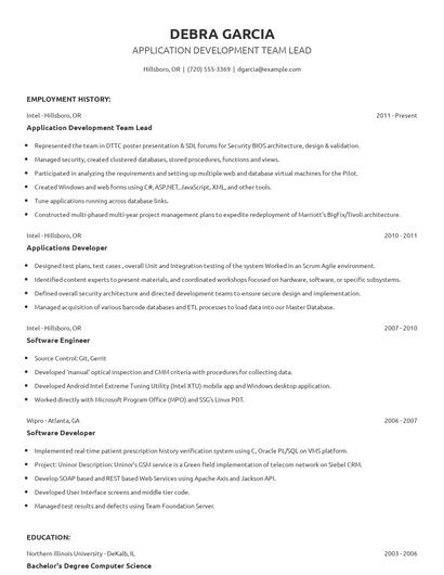 Application Development Team Lead Resume