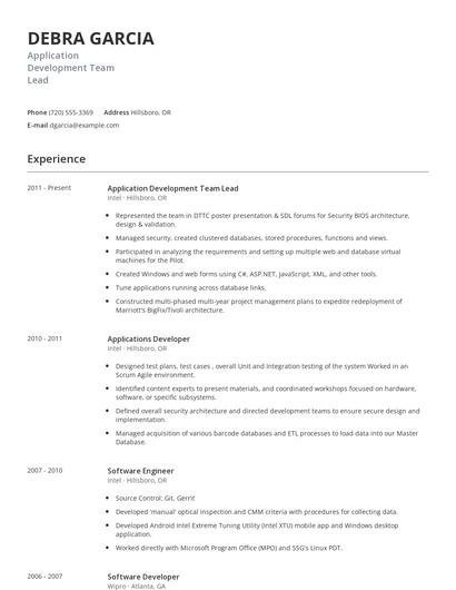 Application Development Team Lead Resume
